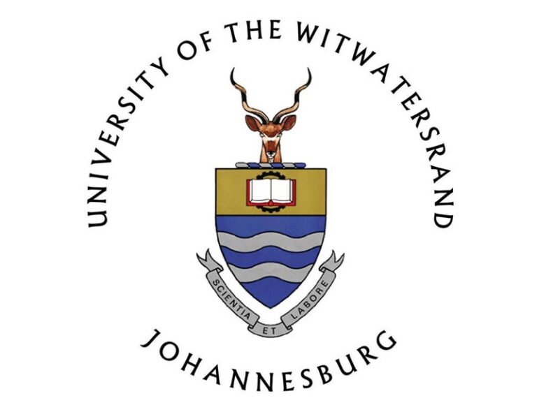 How to Track WITS Application Status 2024 InfoGuide South Africa