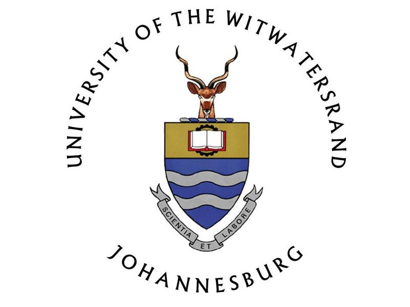 How to Track WITS Application Status 2024 InfoGuide South Africa
