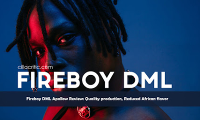 Biography of Fireboy DML & Net Worth