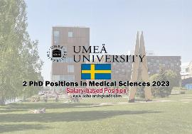 Umea University Sweden Ph.D. Scholarships 2023