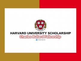 Charles Bullard Fellowship Programme In Forest Research﻿ 2023