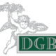 DGB Internships