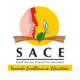 South African Council for Educators (SACE) Internships 