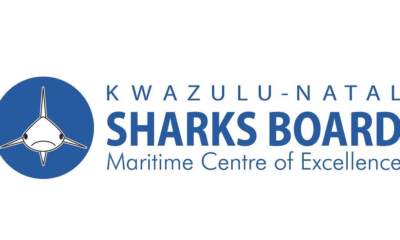 KZN Sharks Board Internships