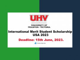 The University Of Houston USA International Merit Student Scholarships