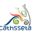 CATHSSETA Graduate Internships