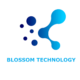 Blossom Technology Recruitment 2023/2024