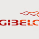 Gibela Transport Rail Maintenance Technician