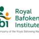 Royal Bafokeng Institute Bursaries