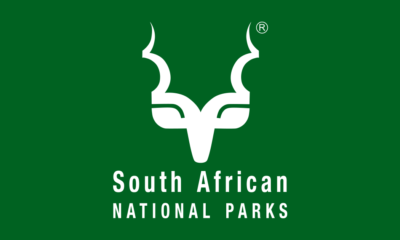 SANParks Forensic and Investigative Accounting Internships