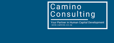 Camino Consulting Recruitment 2023/2024