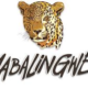 Mabalingwe Nature Reserve Recruitment 2023/2024
